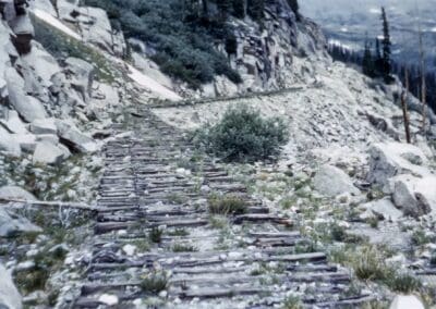 palasaIdes with ties